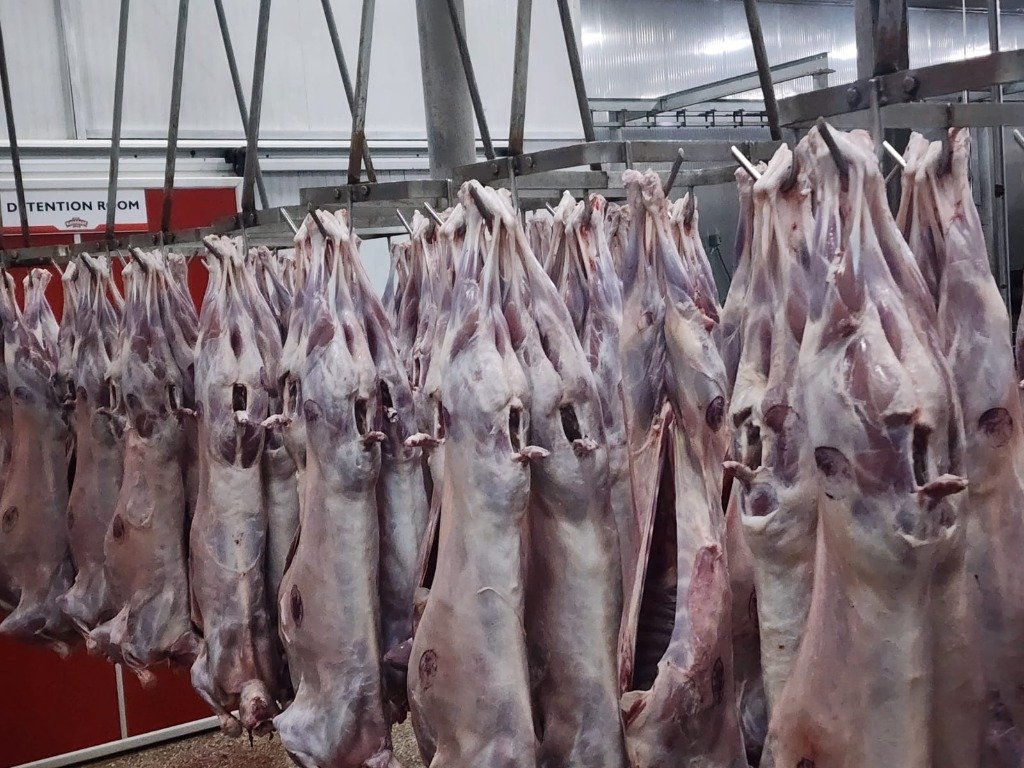Bulk Frozen Meats